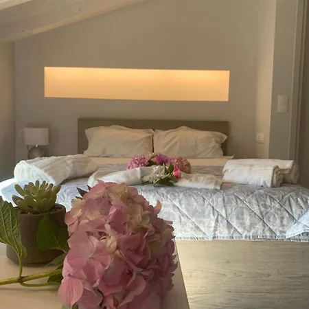 Guest house Terpsichore Boutique Bright New Sofita And